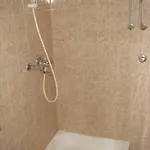 Ostricka Luka 11451b Zaglavice